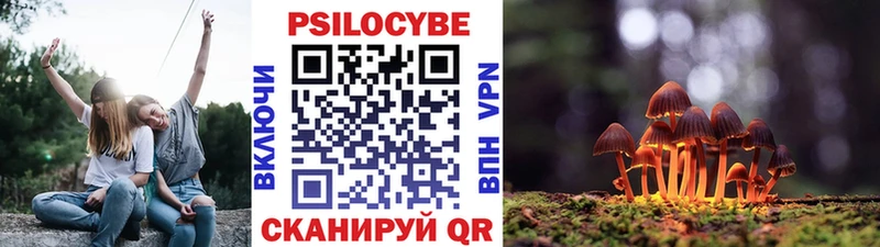 Галлюциногенные грибы Psilocybine cubensis  Купить  Малоярославец 